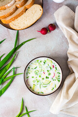 Fototapeta na wymiar Appetizing traditional Russian cold soup with vegetables and kefir in a bowl. Top and vertical view