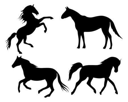 Horse silhouettes, Set Isolated Over White Background Vector Illustration.