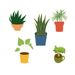 Set of plants in pots, vector illustration, flat style