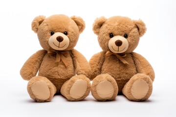 Teddy bears isolated on white background 