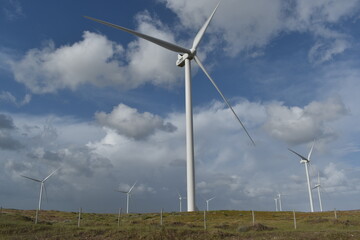 Fototapeta premium wind turbine in the wind