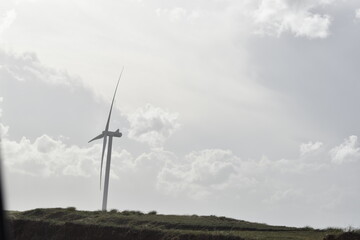 wind turbine in the field