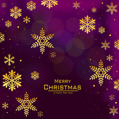 Fototapeta na wymiar Merry Christmas, Christmas Vector Art and Illustration, Christmas Wishes, Golden Snowflakes 