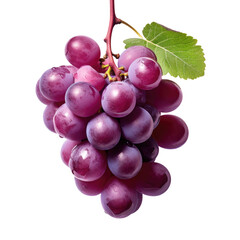 Fototapeta premium Grape isolated on white or transparent background