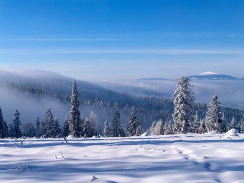 Gorce widok na Babią G&oacute;rę ze szlaku na Turbacz - Starw Wie&hellip;