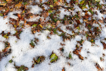 Boden mit Schnee beim abtauen im Herbst