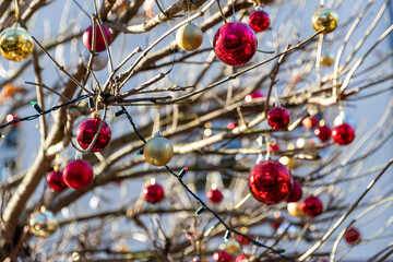 Rote und Goldene Christbaumkugeln hängen draußen im Garten am Baum