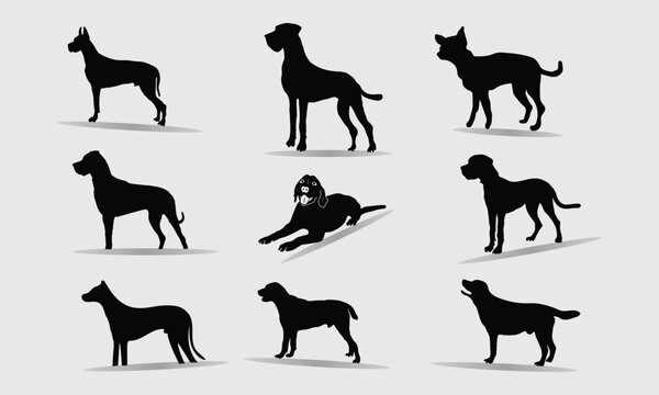 Dog Silhouette And Pet Outline Set On White Background Vector