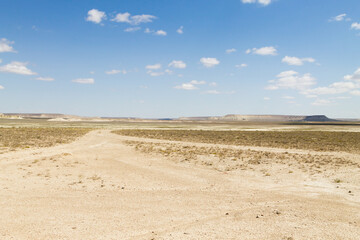 Fototapeta na wymiar Beautiful Mangystau landscape, Ustyurt natural reserve, Kazakhstan