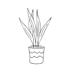 Plant growing in a flower pot. Flowering. Black contour linear silhouette. Vector graphic hand-drawn illustration. Isolated object on a white background. Indoor flower with stems and leaves.