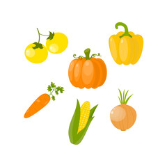 Set of yellow and orange vegetables. Bell pepper, pumpkin, carrot, tomato, onion, corn. Vector illustration in flat style, isolated on white background. Healthy, organic food. 