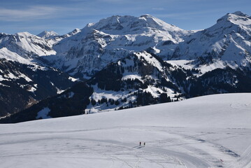 Fototapeta na wymiar Pistes enneigées de l'Oberland bernois à Lenk. Suisse
