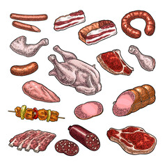 Set meat products. Brisket,  sausage, steak, chicken leg, ribs  wing,  carcass and breast halves. Vintage color vector engraving illustration. Isolated on white background - 690721601