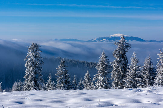 Babia G&oacute;ra nad chmurami widok z Gorc&oacute;w