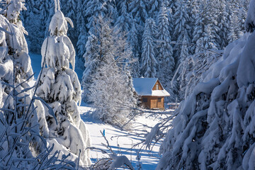 Zima domek w Górach na polanie w lesie - obrazy, fototapety, plakaty