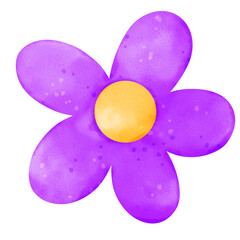 purple and yellow daisy or camomile watercolor 