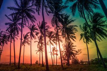 Obraz premium Silhouette coconut palm trees on beach at sunset. Vintage tone.