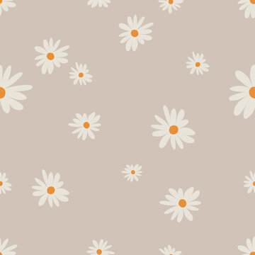 daisies vector seamless pattern. Repeat ornament of chamomiles. Wild flowers for textile design.