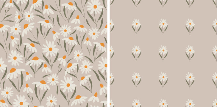 Daises vector seamless patterns. Repeat ornament of chamomiles. Wild flowers for textile design.
