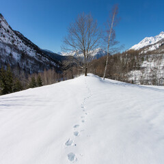 Vall&eacute;e enneig&eacute;e avec traces de pas dans les alpes