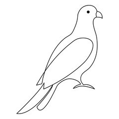 Continuous one line art drawing pet pigeon outline vector illustration and minimalist design