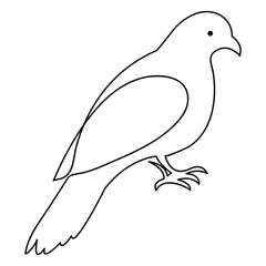 Continuous one line art drawing pet pigeon outline vector illustration and minimalist design