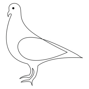 Continuous one line art drawing pet pigeon outline vector illustration and minimalist design