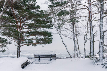 snow covered viewing platform with a bench towards Curonian lagoon