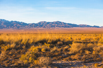 Kazakhstan steppe landscape. Dry grass and mountains