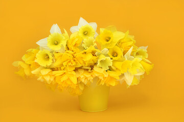 Spring Easter daffodil flower arrangement on yellow background. Beautiful floral Springtime, Mothers day and Easter time composition