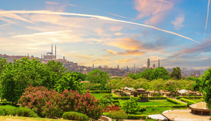 View of Al-Azhar Park and the Mosque of Muhammad Ali in the background, Cairo, Egypt