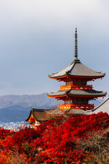 Kyoto, Japan
