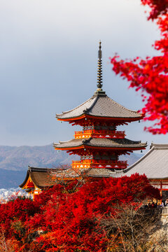 Kyoto, Japan