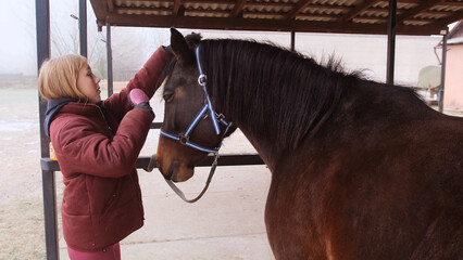 Close-up of a stable girl combing the mane of a brown horse