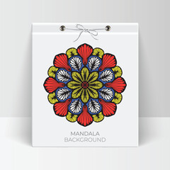 Vector elegant colorful mandala background