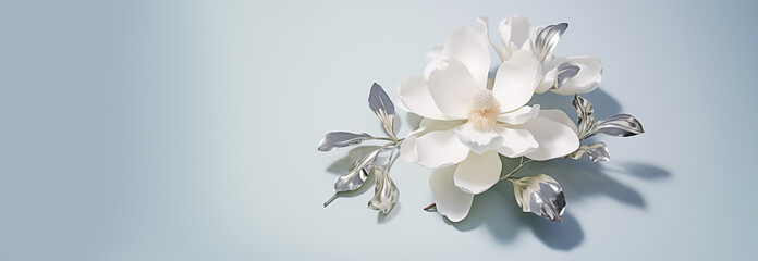 Flat lay of magnolia flower with silver leaves on bright background. 