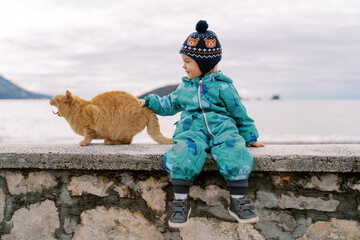 Little smiling girl petting a yawning ginger cat on a stone border on the beach