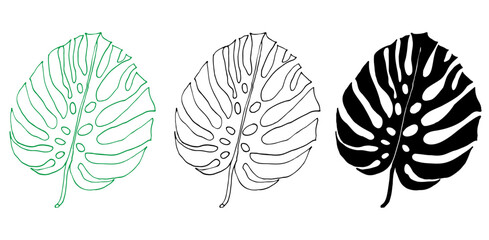 Monstera outline and silhouette set of tropical leaves, greenery design element Monstera leaf, jungle plant. Leaf for coloring book, logo or scrapbook. Vector illustration, isolate on white background