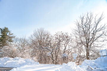 Fototapeta na wymiar Family’s activity Morningside Park. Snowy landscape of Morningside Park, serene and snowy escape for outdoor enthusiasts. Winter activities. Toronto, Ontario, Canada