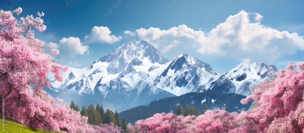 Poster View of mountain peaks in spring time in High Tatras. Copyspace image. Header for website template