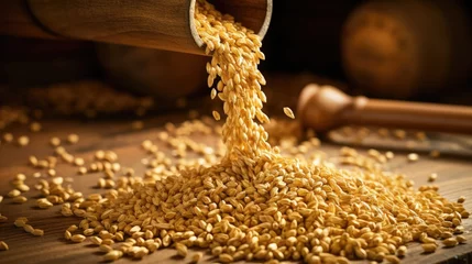 Fototapeten Malt beer barley seed brewery alcohol production cereal mill wallpaper background © Irina