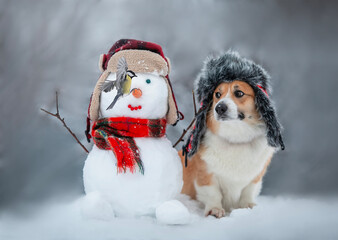 New Year card with a cute Christmas corgi in a warm hat sitting with a snowman and a bird in a...
