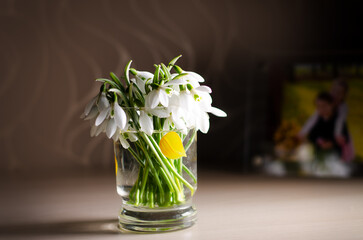 bouquet of snowdrops in a vase