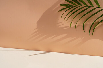 Minimal modern product display on textured Peach Fuzz background with palm shadows overlay