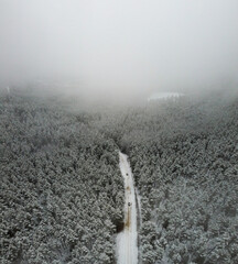 Winter Landscape with Misty Fog and Snowy Scenery