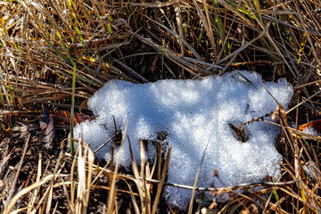 Early snow