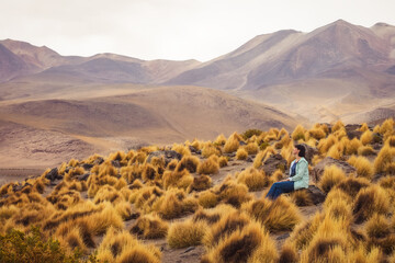 Vegetation of the Bolivian Altiplano.
A female tourist sits among wild grass in the pampas in...