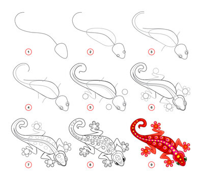 How to draw a cute little red gecko. Educational page for children. Creation step by step animal illustration. Printable worksheet for kids school exercise book. Online education. Vector drawing.