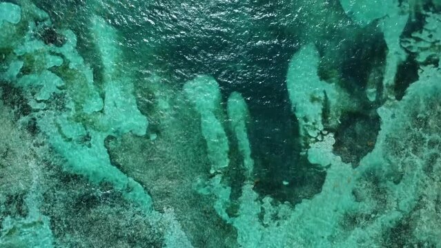 Czysta woda oceaniczna, tropikalna- nagranie z g&oacute;ry na dominikanie- Punta Cana