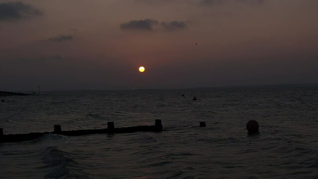 Slow motion sunset bird flying Whitstable 